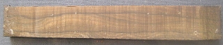 Ziricote húrláb (Cordia dodecandra) Nr. 14134
