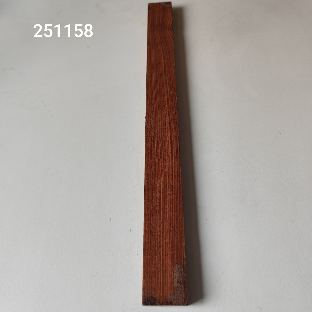 Kingwood húrláb - dupla Nr. 251158