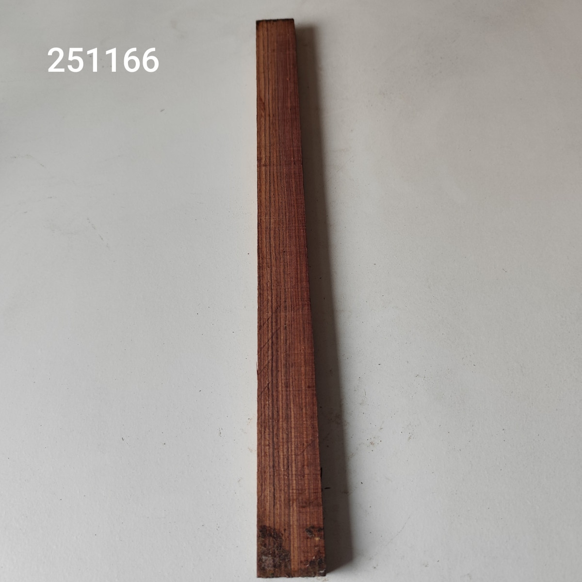 Kingwood húrláb - dupla Nr. 251166