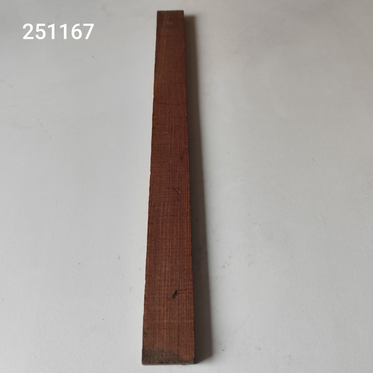 Kingwood húrláb - dupla Nr. 251167