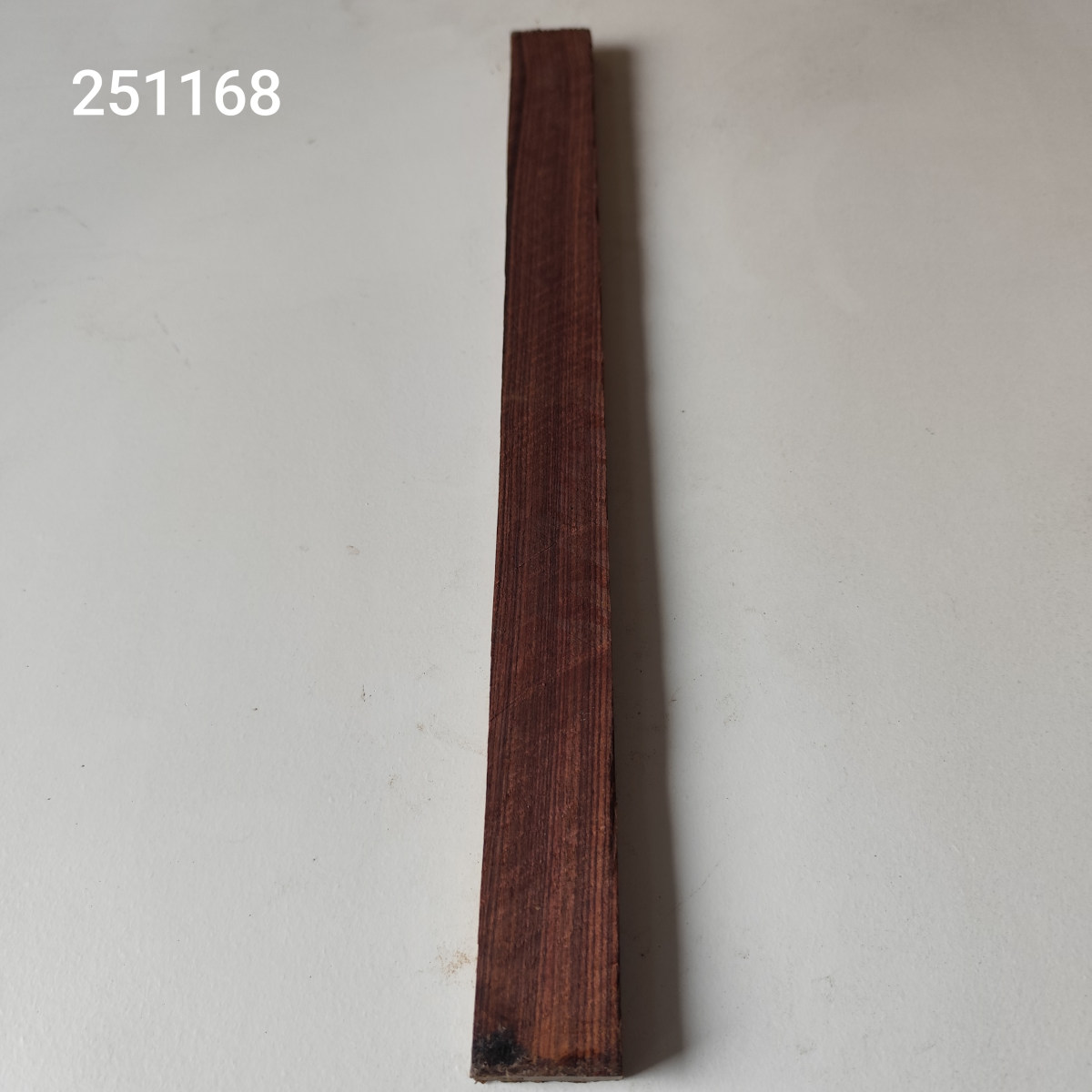 Kingwood húrláb - dupla Nr. 251168