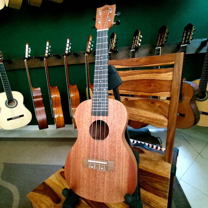 Cara Bogner Mod.  C300 Concert Ukulele tokkal