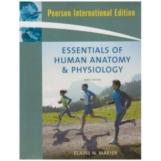 Marieb: Essentials of Human Anatomy & Physiology