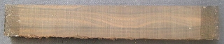 Ziricote húrláb (Cordia dodecandra) Nr. 14133
